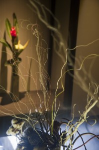 クrすたる 花
